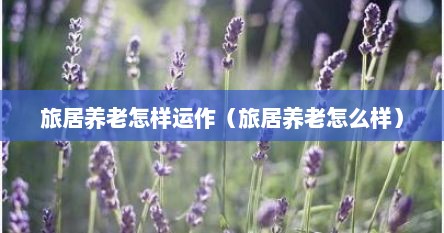 旅居养老怎样运作（旅居养老怎么样）
