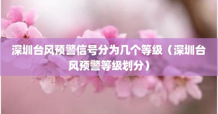 深圳台风预警信号分为几个等级（深圳台风预警等级划分）