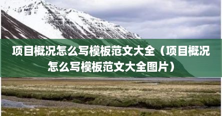 项目概况怎么写模板范文大全（项目概况怎么写模板范文大全图片）