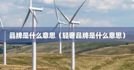 品牌是什么意思（轻奢品牌是什么意思）
