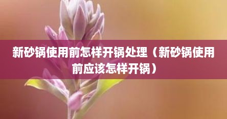 新砂锅使用前怎样开锅处理（新砂锅使用前应该怎样开锅）