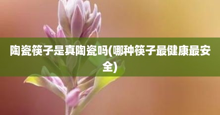 陶瓷筷子是真陶瓷吗(哪种筷子最健康最安全)