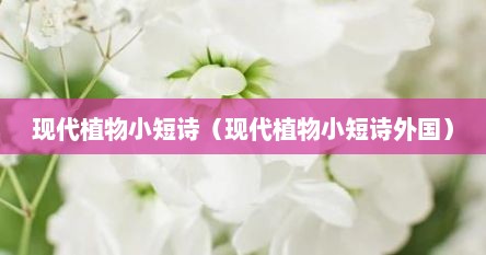 现代植物小短诗（现代植物小短诗外国）