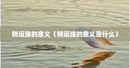 转运珠的意义（转运珠的意义是什么）