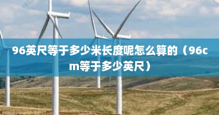 96英尺等于多少米长度呢怎么算的（96cm等于多少英尺）