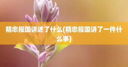 精忠报国讲述了什么(精忠报国讲了一件什么事)