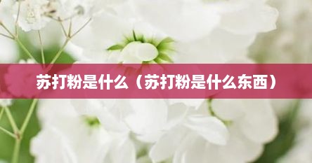 苏打粉是什么（苏打粉是什么东西）