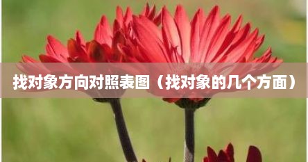 找对象方向对照表图（找对象的几个方面）