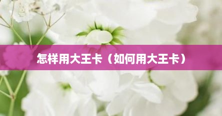 什么是大王卡大王卡有什么用（大王卡怎么卡流量）