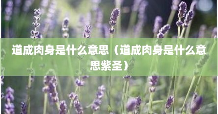 道成肉身是什么意思（道成肉身是什么意思紫圣）