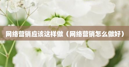 网络营销应该迟样做（网络营销怎么做好）