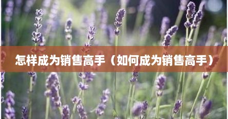 怎样成为销售高手（如何成为销售高手）
