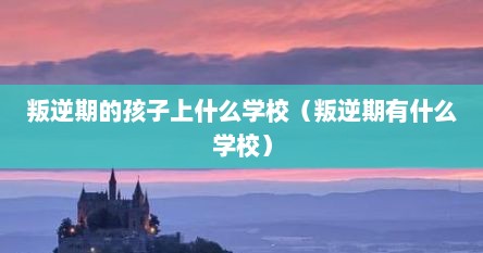 叛逆期的孩子上什么学校（叛逆期有什么学校）