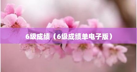 6级成绩（6级成绩单电子版）