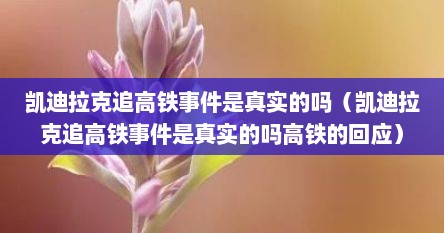 凯迪拉克追高铁事件是真实的吗（凯迪拉克追高铁事件是真实的吗高铁的回应）