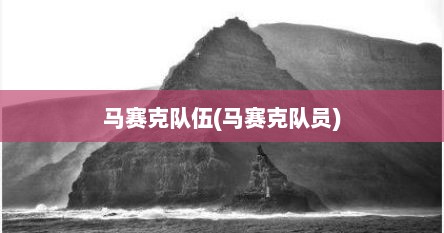 马赛克队伍(马赛克队员)