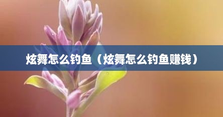 炫舞怎么钓鱼（炫舞怎么钓鱼赚钱）
