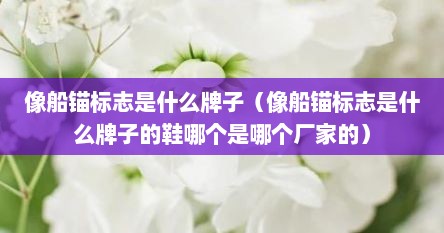 像船锚标志是什么牌子（像船锚标志是什么牌子的鞋哪个是哪个厂家的）