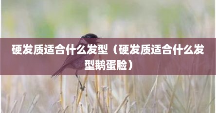 硬发质适合什么发型（硬发质适合什么发型鹅蛋脸）