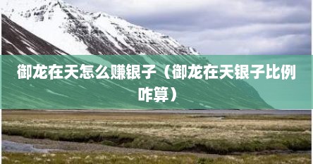御龙在天怎么赚银子（御龙在天银子比例咋算）