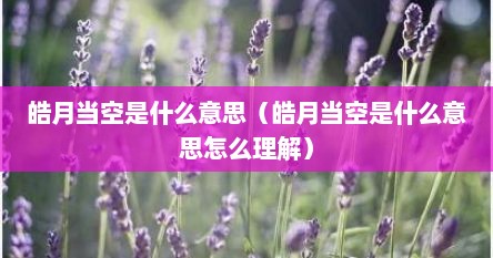 皓月当空是什么意思（皓月当空是什么意思怎么理解）