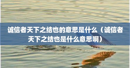 诚信者天下之结也的意思是什么（诚信者天下之结也是什么意思啊）