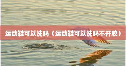 运动鞋可以洗衣机洗吗（运动鞋能不能水洗）