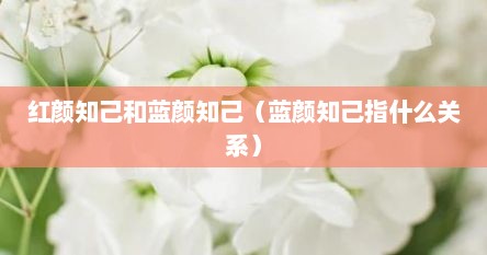 红颜知己和蓝颜知己（蓝颜知己指什么关系）