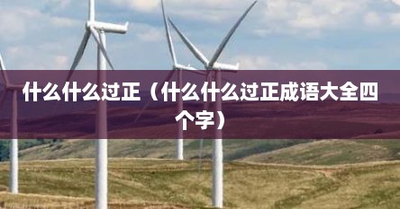 什么什么过正（什么什么过正成语大全四个字）