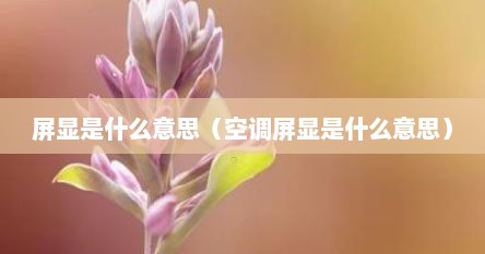 屏显是什么意思（空调屏显是什么意思）