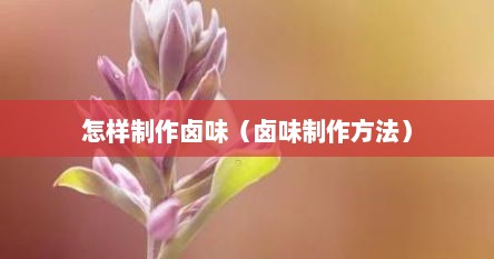 怎样制作卤味（卤味制作方法）