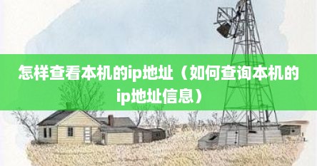 怎样查看本机的ip地址（如何查询本机的ip地址信息）