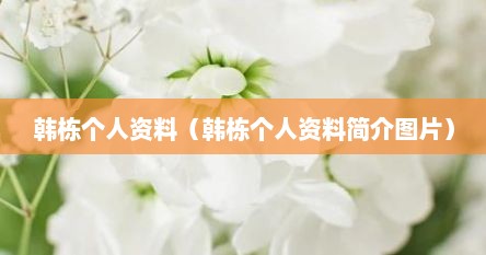 韩栋个人资料（韩栋个人资料简介图片）