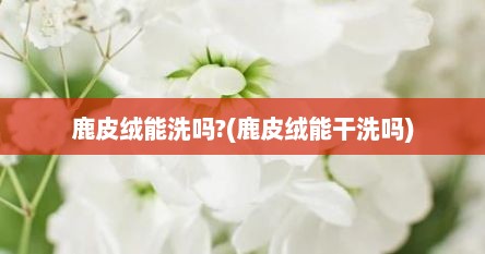 鹿皮绒能洗吗?(鹿皮绒能干洗吗)