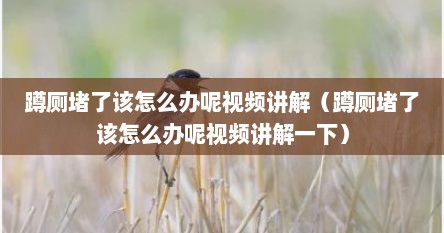 蹲厕堵了快速解决办法（蹲厕堵了怎么快速解决）