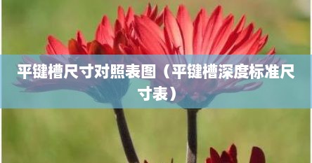 平键槽尺寸对照表图（平键槽深度标准尺寸表）