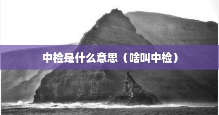 中检是什么意思（啥叫中检）