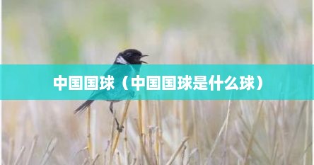 中国国球（中国国球是什么球）