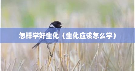 怎样学好生化（生化应该怎么学）