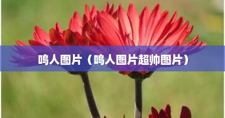 鸣人图片（鸣人图片超帅图片）