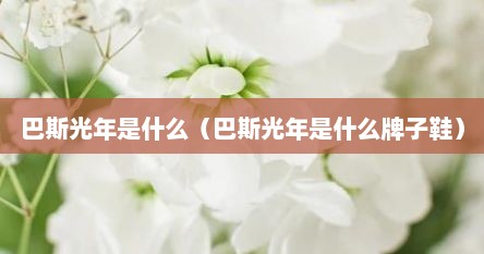 巴斯光年是什么（巴斯光年是什么牌子鞋）