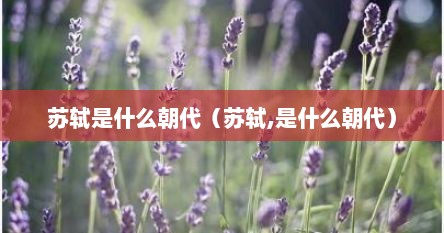苏轼是什么朝代（苏轼,是什么朝代）