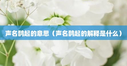 声名鹊起的意思（声名鹊起的解释是什么）
