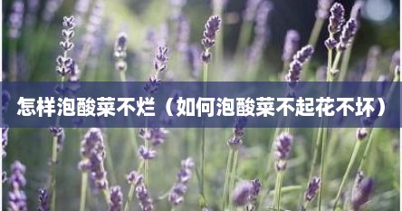 怎样泡酸菜不烂（如何泡酸菜不起花不坏）