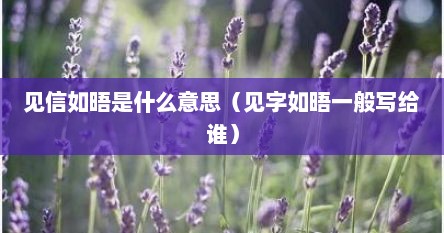 见信如晤是什么意思（见字如晤一般写给谁）