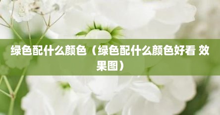 绿色配什么颜色（绿色配什么颜色好看 效果图）