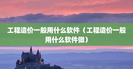 工程造价一般用什么软件（工程造价一般用什么软件做）