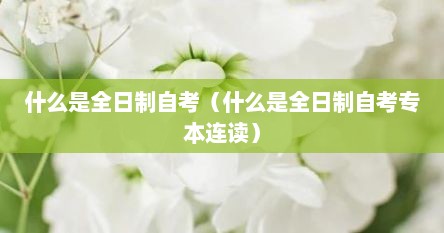 什么是全日制自考（什么是全日制自考专本连读）