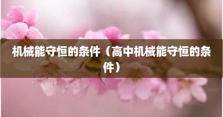 机械能守恒的条件（高中机械能守恒的条件）