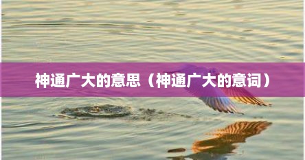 神通广大的意思（神通广大的意词）
